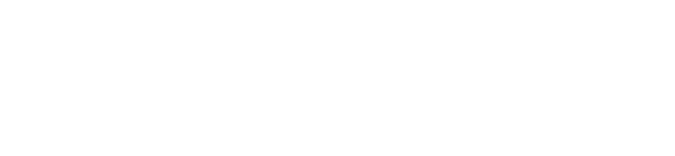 Apollo.TI